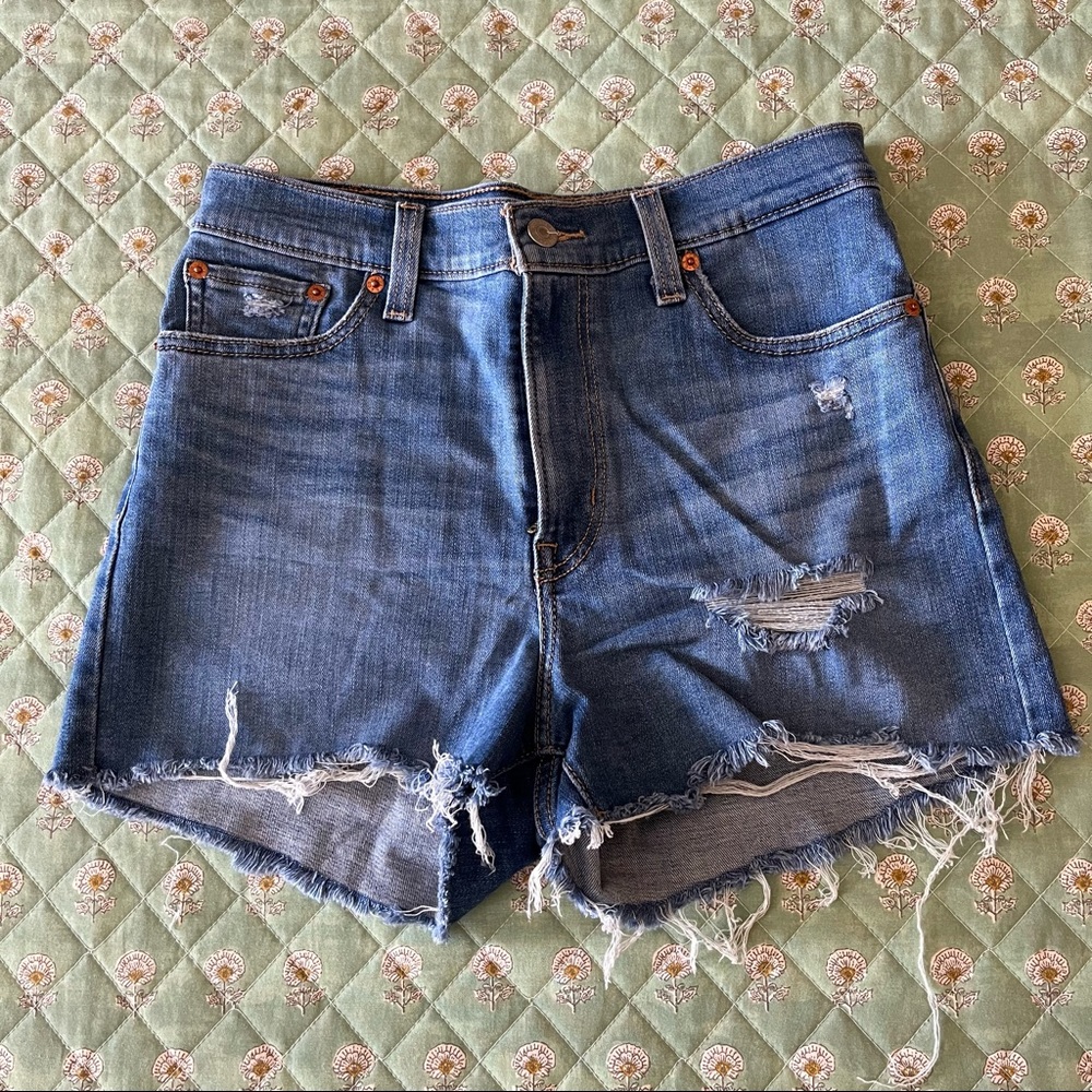 High Rise Shorts